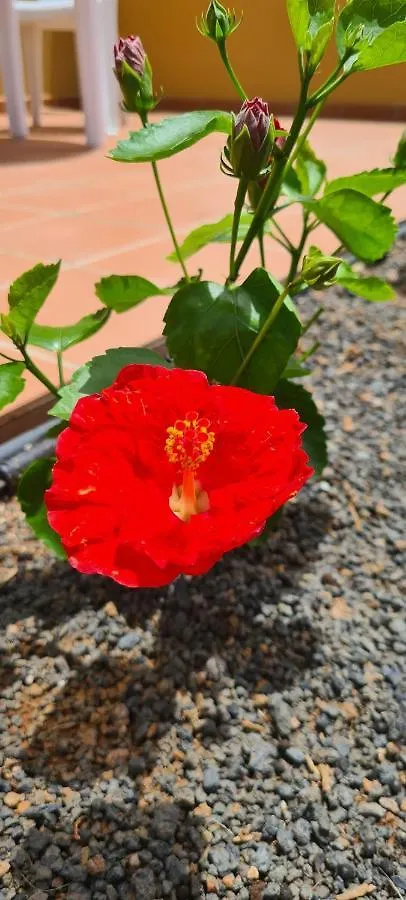 Apartamento Casa Mari Y Jose Con Grandes Piscinas Y Wifi Gratis Corralejo